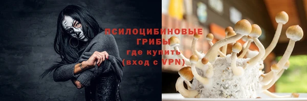 молекула духа Баксан