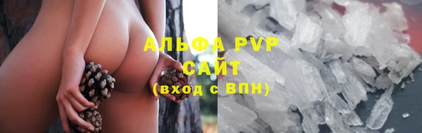 ПСИЛОЦИБИНОВЫЕ ГРИБЫ Балабаново